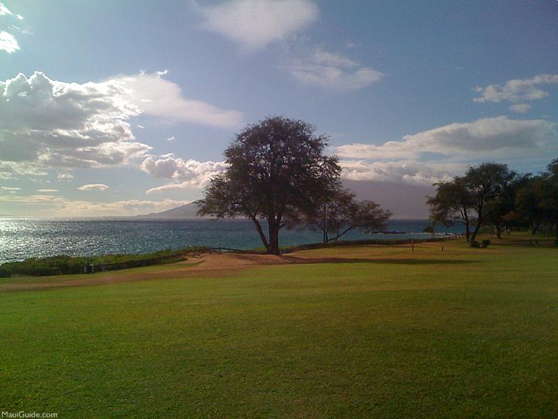 Inexpensive Maui Activities Picnic Spot