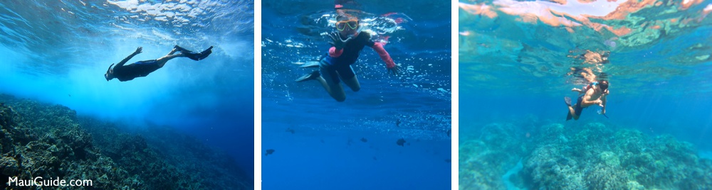 Inexpensive Maui Activities Snorkeling