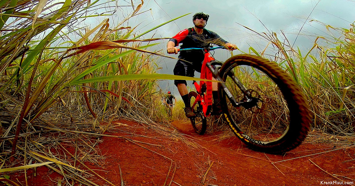 New Maui Bike Rentals