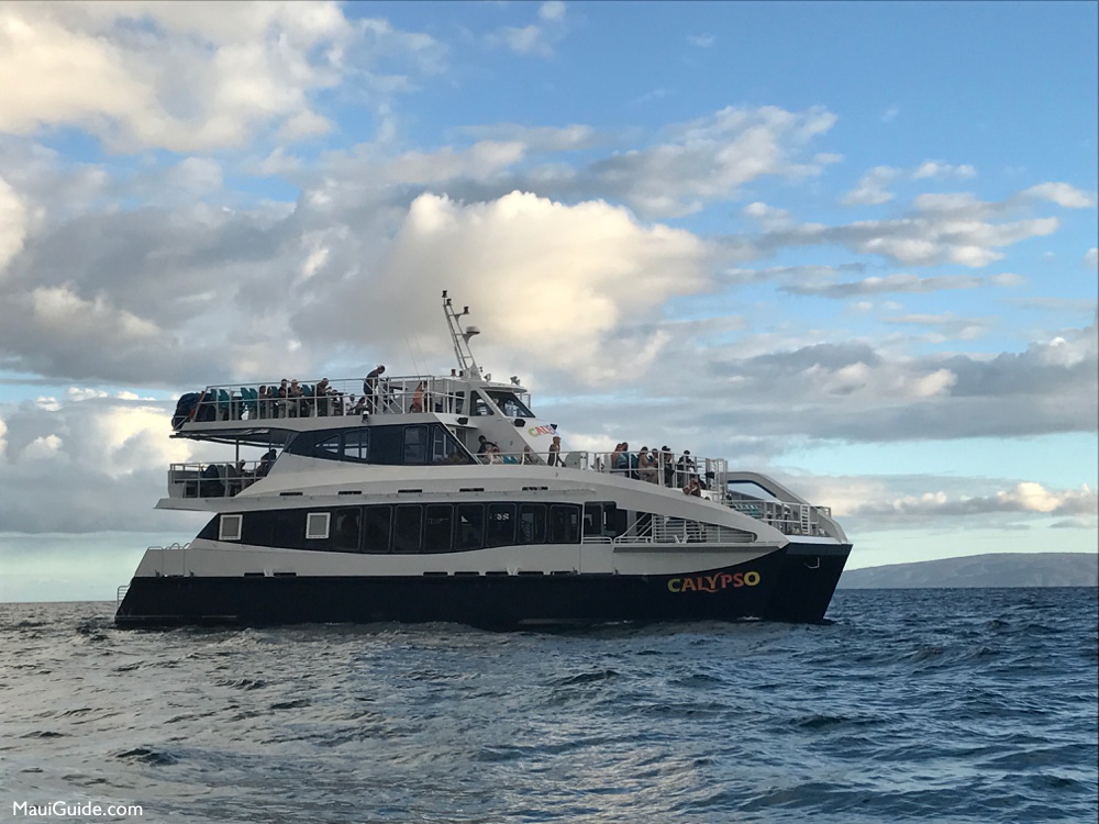 Calypso dinner cruise