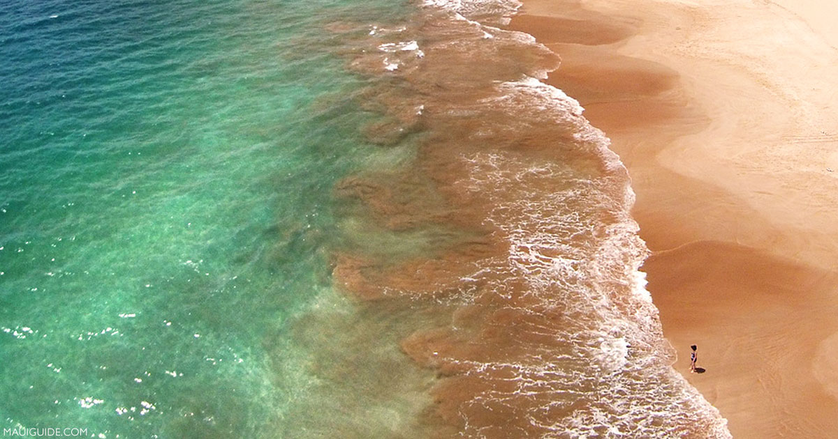 1st Visit to Maui, Hawaii