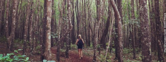 hiking