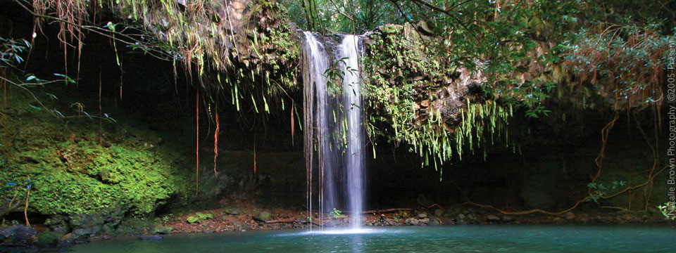 Maui waterfall