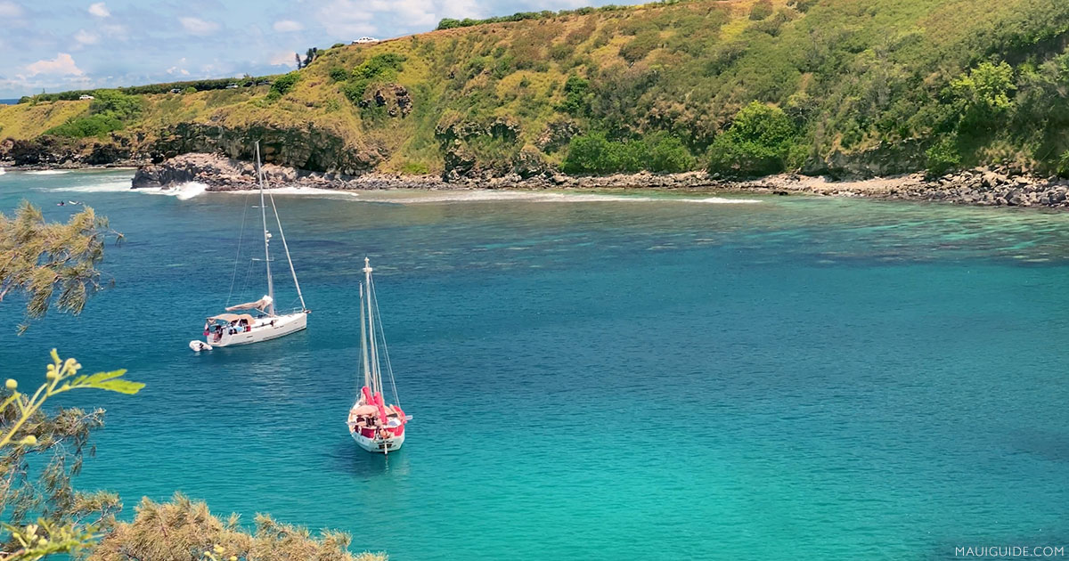 Honolua Bay Maui Hawaii