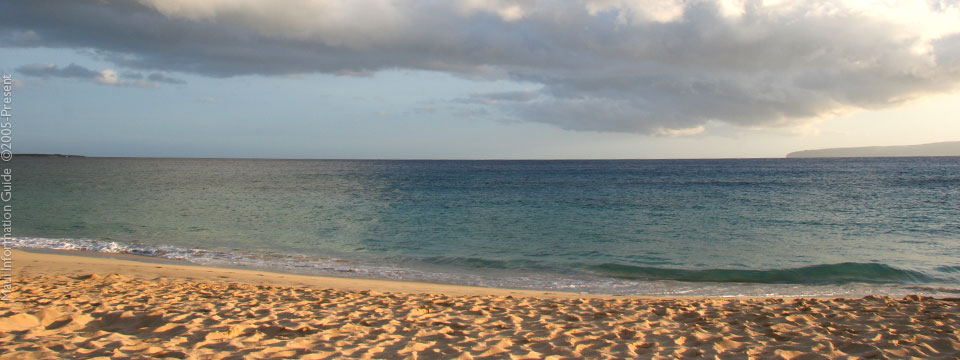 Guitar Used on Beach Boy’s Surfer Girl