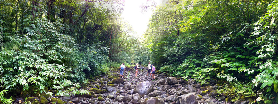 hiking Maui
