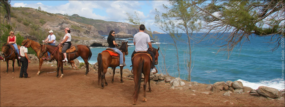 Favorite Maui Activities