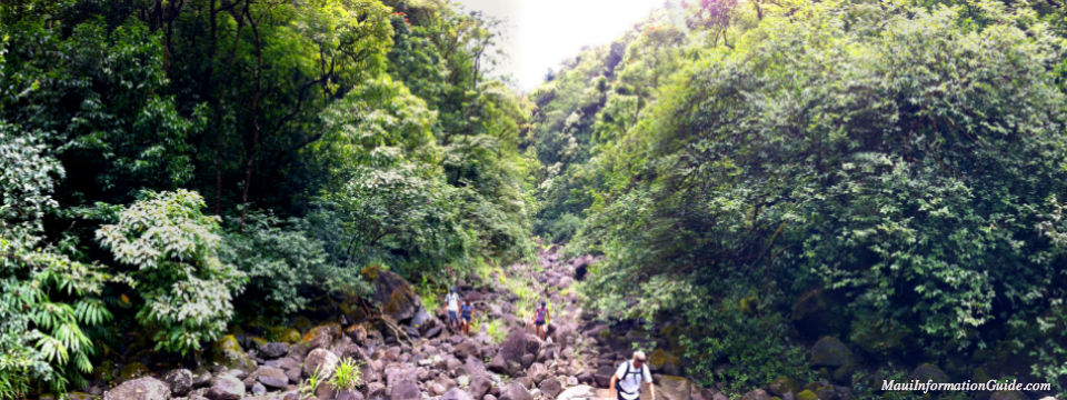 Maui New Year’s Resolutions