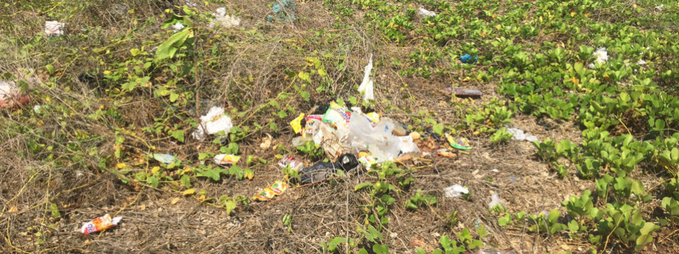 plastic bags hawaii