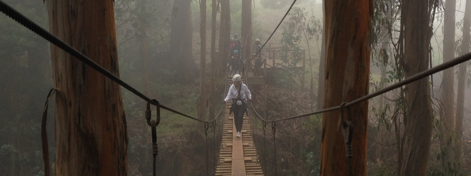Ziplining on Haleakala