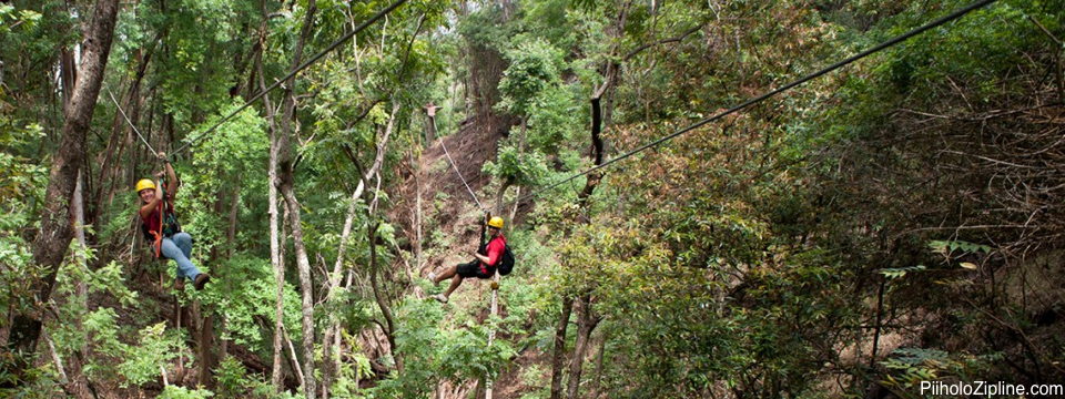 Ziplining in Upcountry Maui