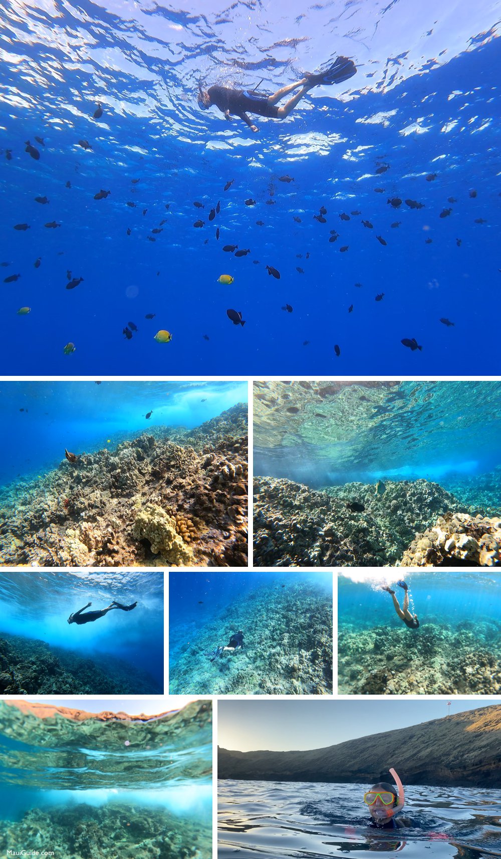 Molokini Snorkeling photos