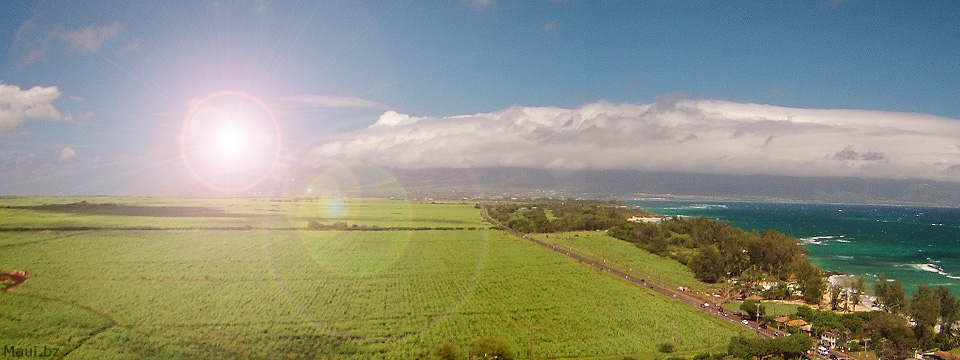 HC&S to Shut Down Maui Sugarcane Operations!