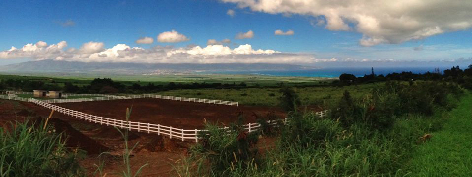 Makawao Third Fridays