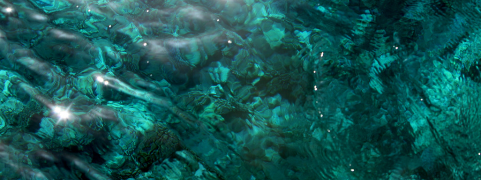 Maui’s Favorite Snorkeling Beaches