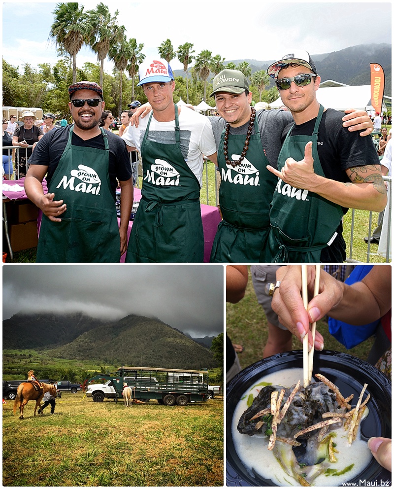 maui agricultural festival