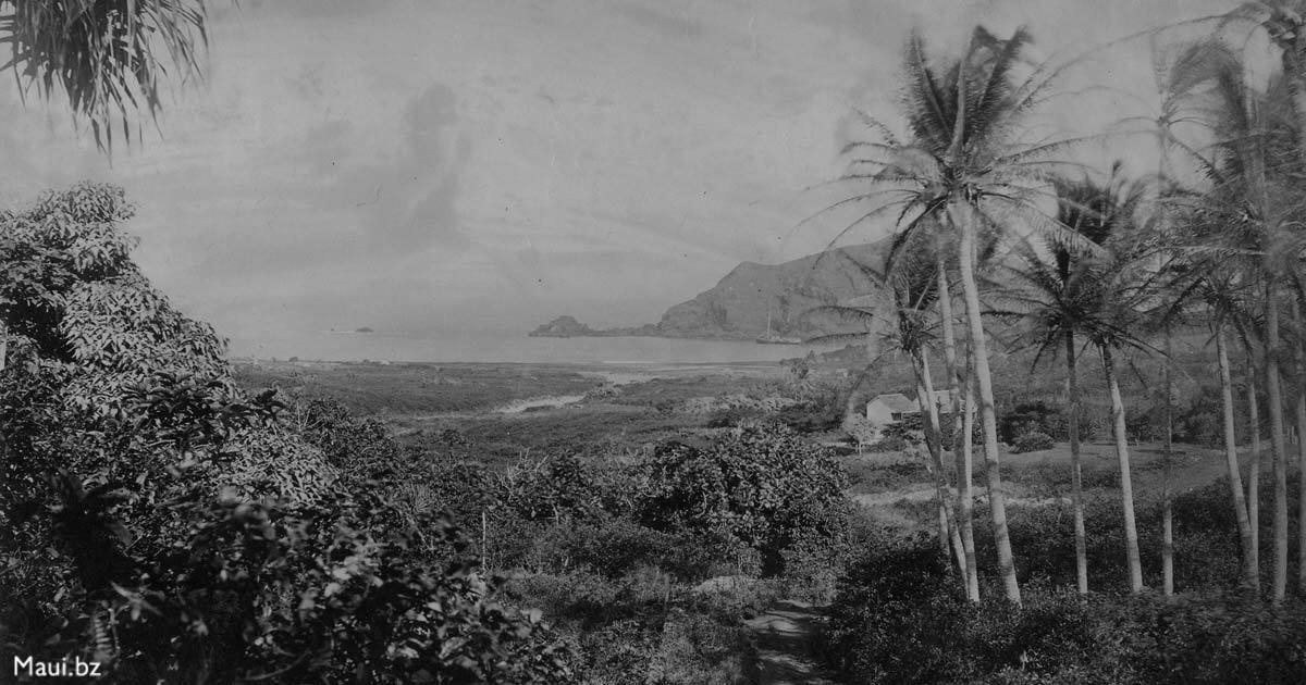 The History of Hana Highway