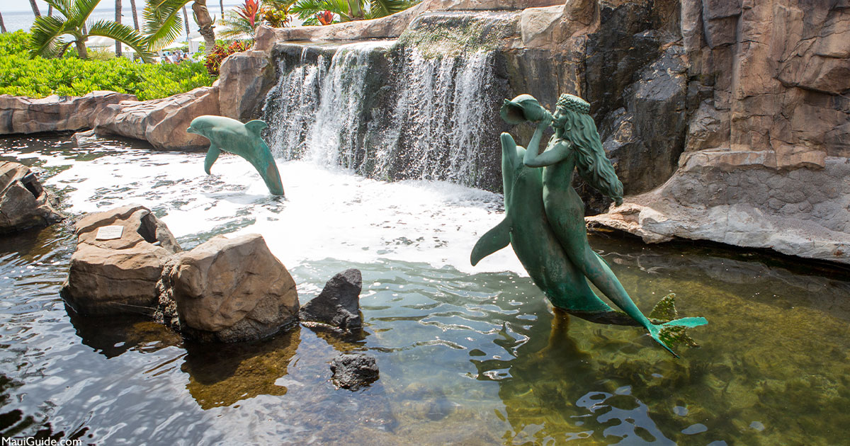 Maui Mermaids