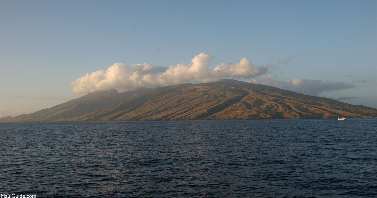 Maui Wakeboarding Ocean