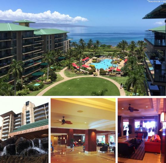 Best Maui Properties For Sale Maui Information Guide