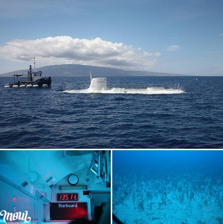 Atlantis Submarine Lahaina - Maui Submarine Tours | Shipwreck Footage