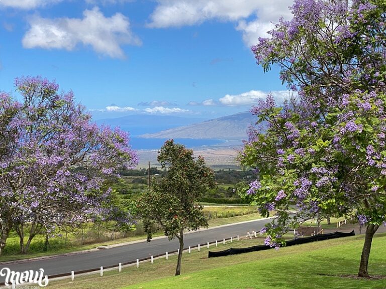 Kula, Maui Map, Photos, and Hawaii Information