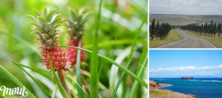 Lanaʻi Island - Map, Photos, and Hawaii Information