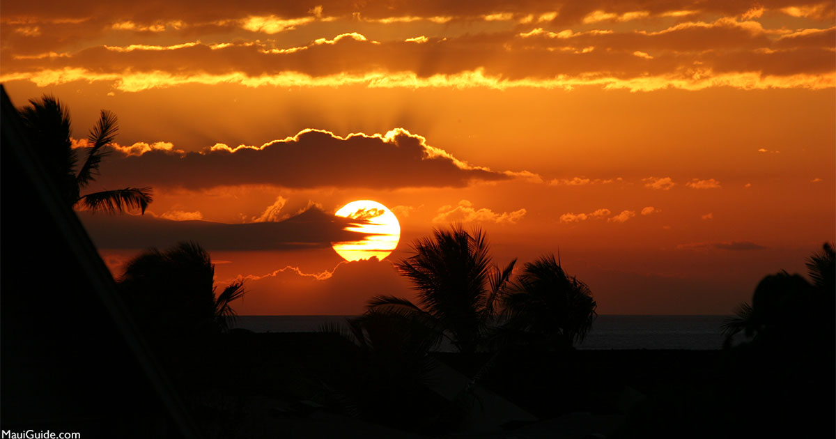 Activities Contest Winners