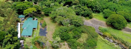 Iao Valley Inn BnB
