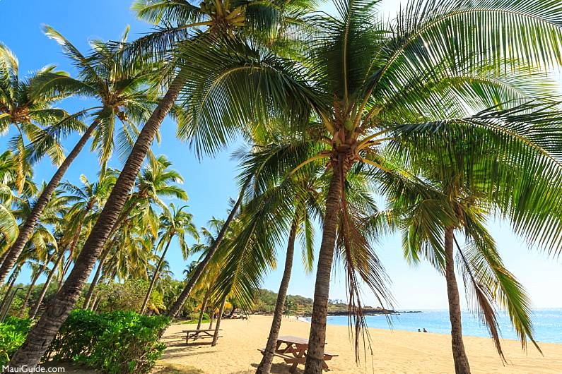 Lanai History Hulopoʻe Beach