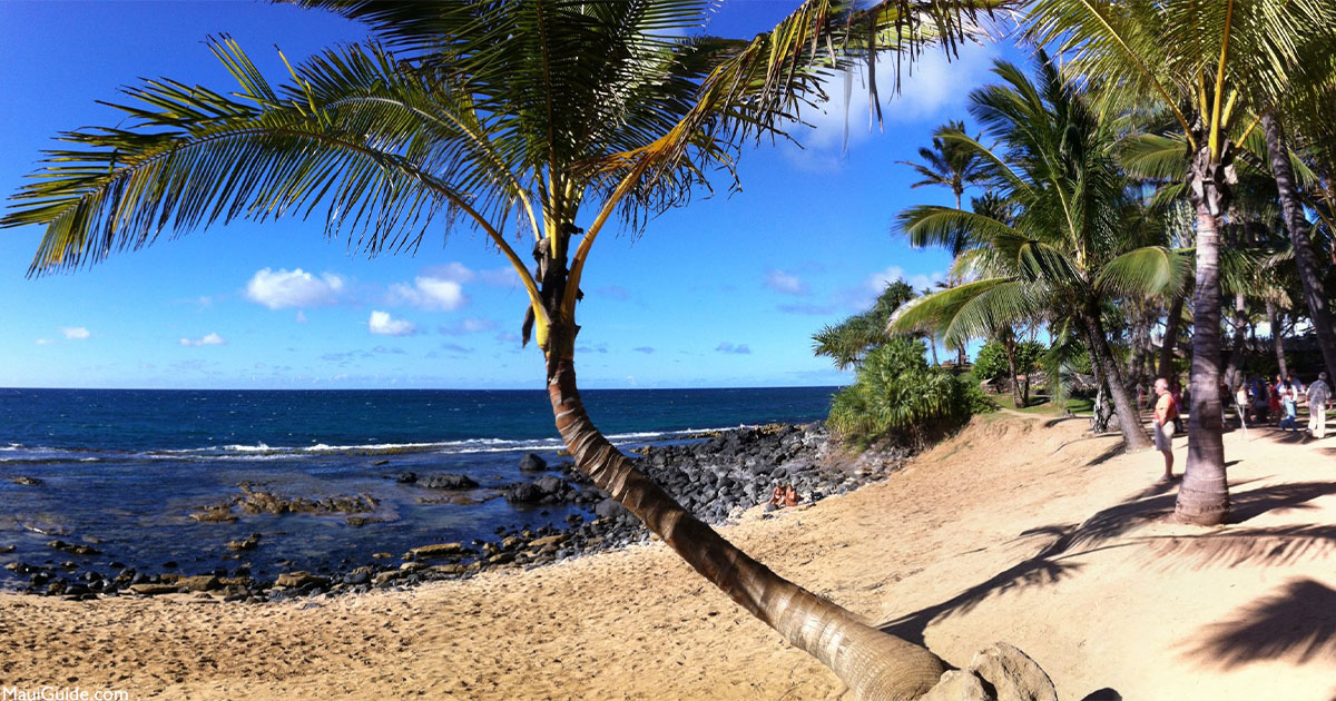 Mamas Fish House Maui