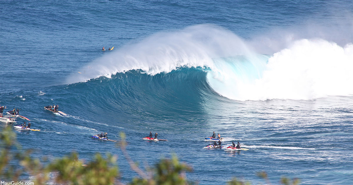 Maui Big Wave Surfing At Jaws