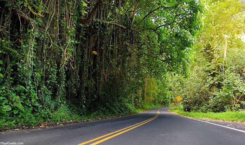 Top 6 Car rental in hawaii maui 2 Maui Car Rentals Information and Tips