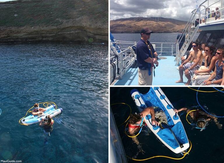 Maui Snuba Diving - Photos, video, and information
