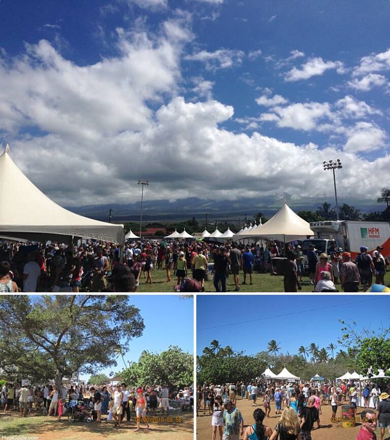 Maui Whale Festival Maui Whale Festival Information, Photos, and Tips