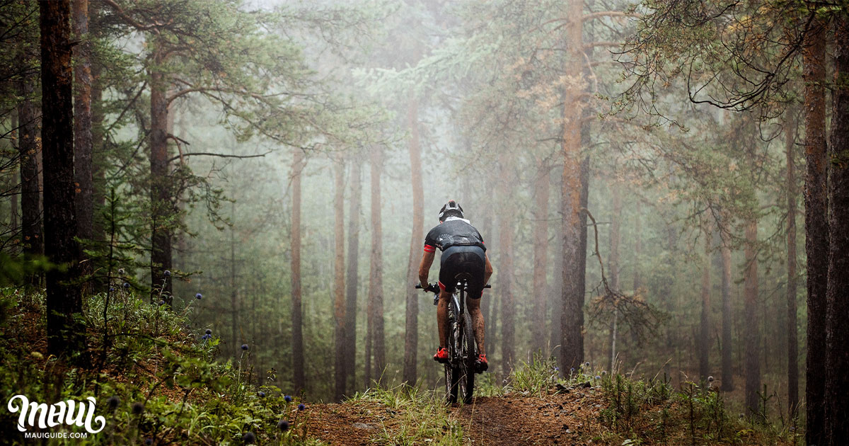 Maui Mountain Biking in the Makawao Forest Reserve