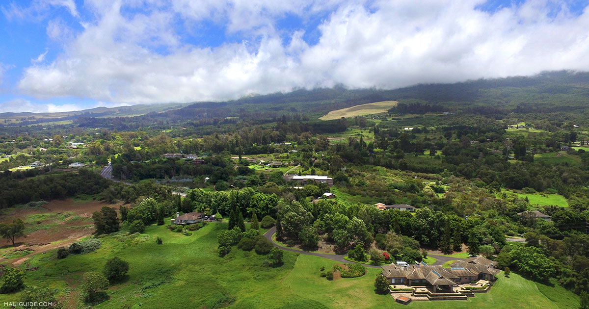 Upcountry Maui See what's new up on high!