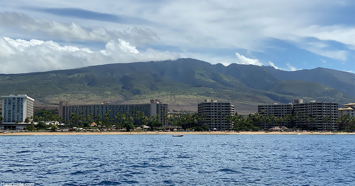 Westin Maui Luau Reviews Wailele Polynesian Luau Info and Reviews