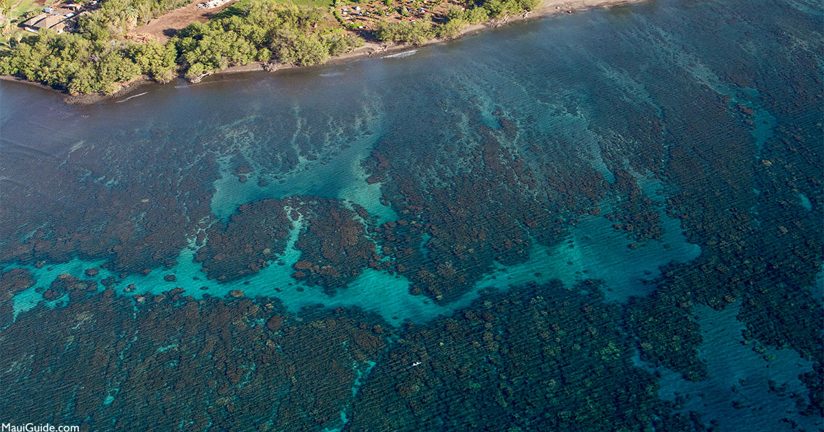 Maui Snorkeling Maps Hawaii Snorkel Map Molokini Crater