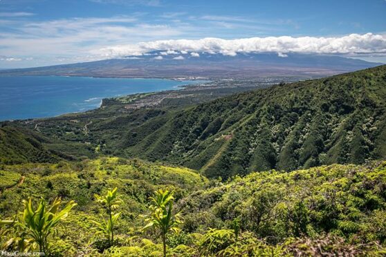 Maui tsunami kihei