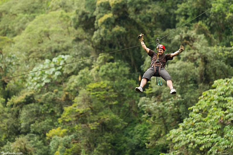 Maui Zipline Tours Treetops