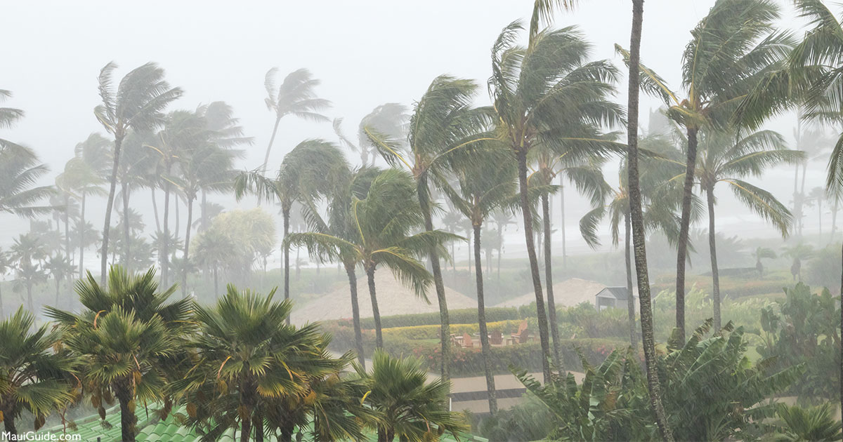 Maui Rainy Day Activities Things To Do When It's Raining On Maui