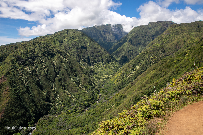 Maui_Hike