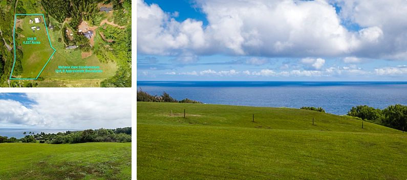 Maui Real Estate Mehana B