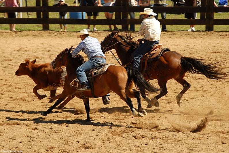 Maui Events Makawao Rodeo