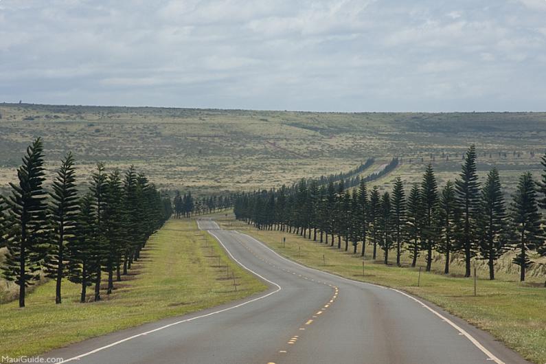 Lanai Activites Road