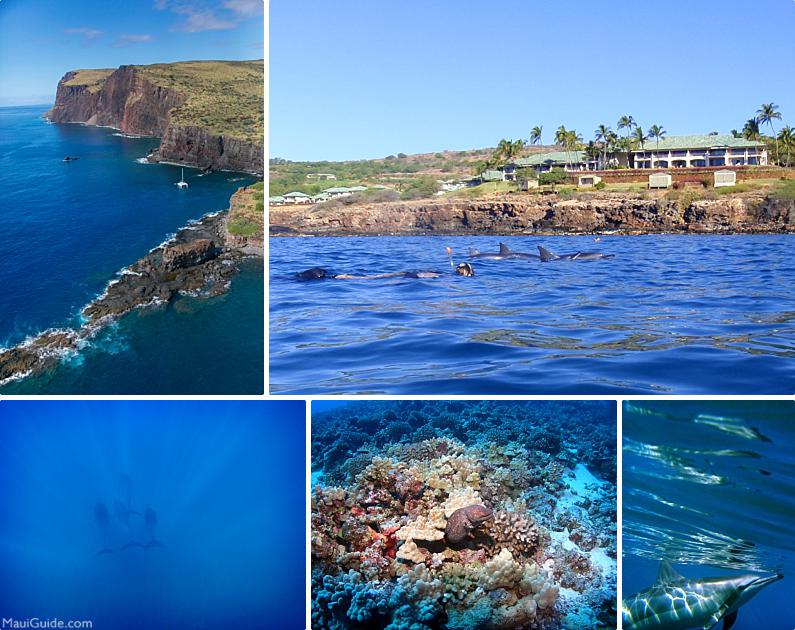 Lanai Activites Snorkeling