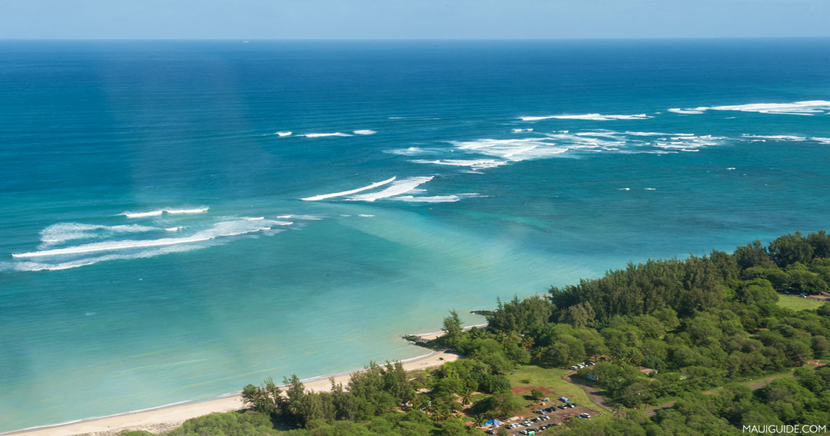 Maui’s Most Common Questions Answered