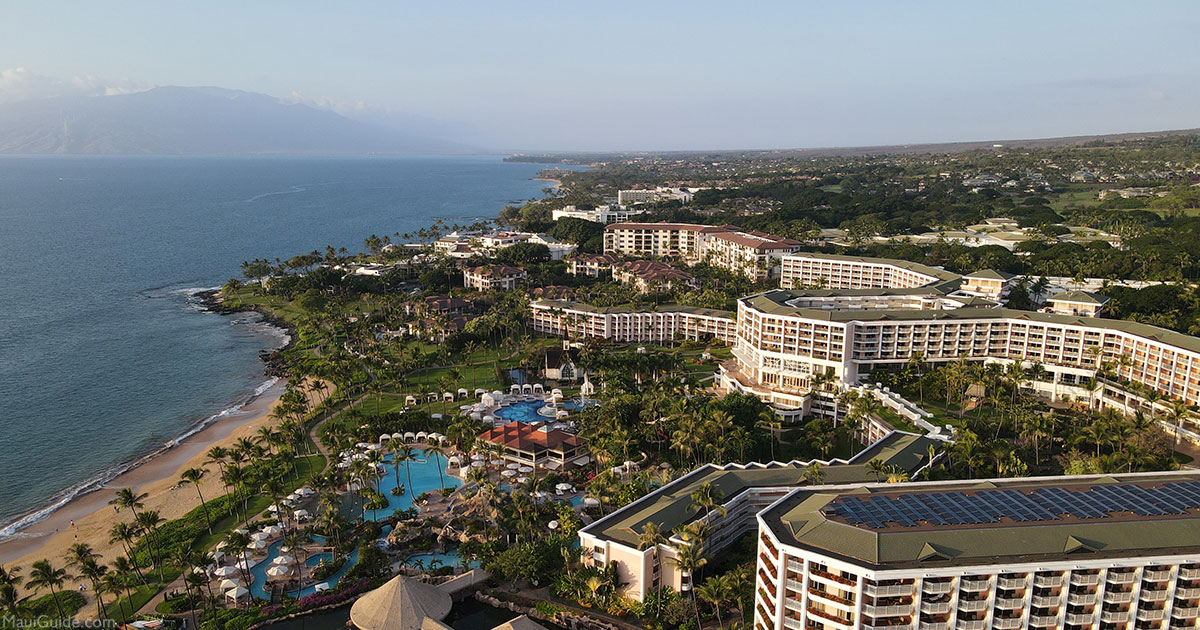 Best Wailea Restaurants Coastline