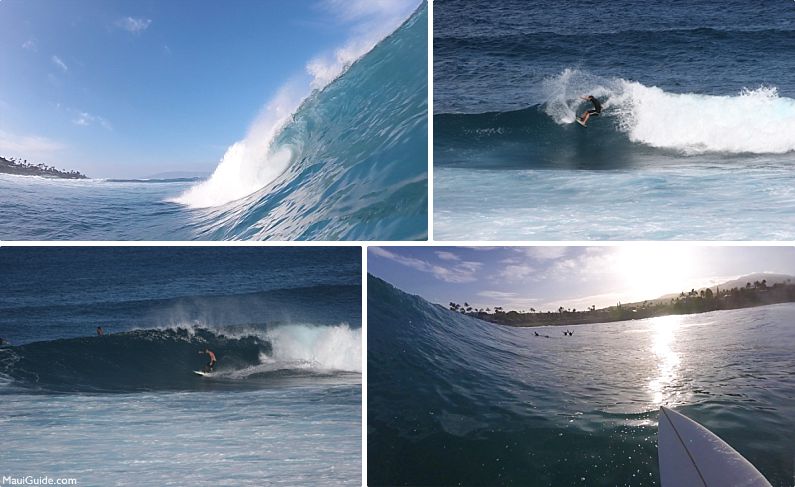 Maui Surfing